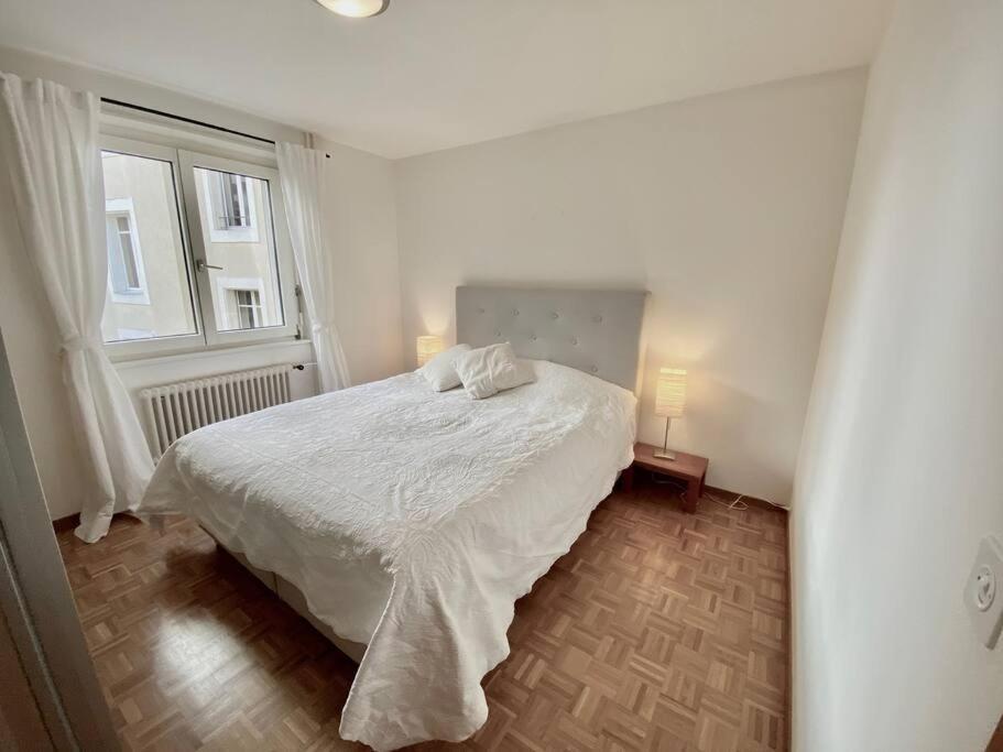Comfortable, Very Well Located Between Train Station And Lake! Lausanne Exterior foto